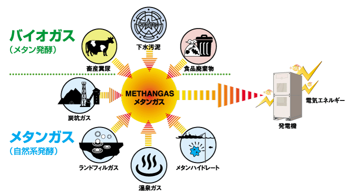 バイオガス発電の仕組み解説