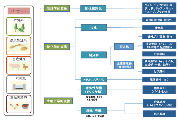 バイオマスの定義